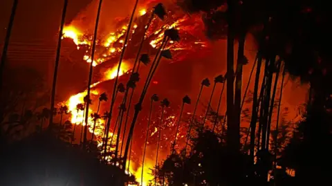 la-wildfire.webp.webp.webp