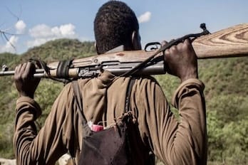 Fulani-Ethnic-Militia-1.jpeg